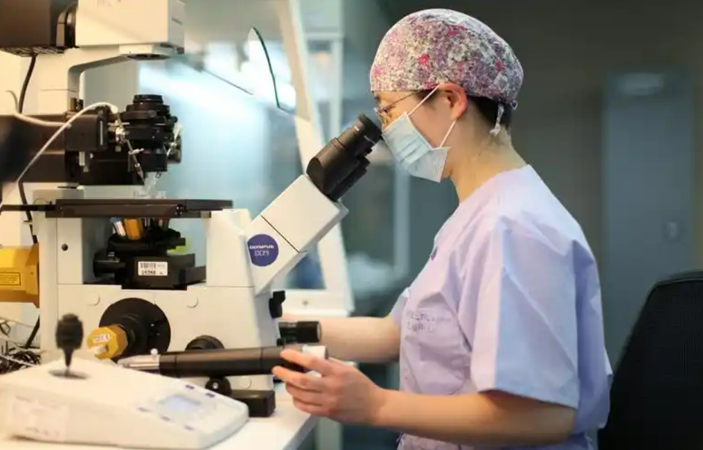 试管婴儿适用人群与禁忌症：谁适合做？谁需谨慎？