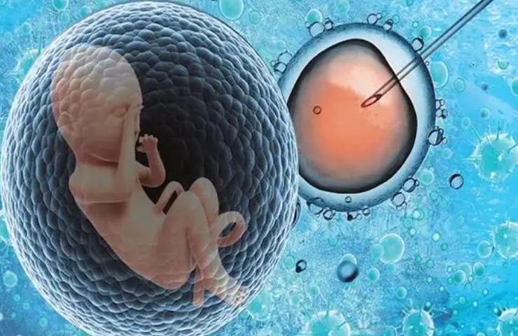 三代试管成功率解析：哪些因素影响你的“中奖率”?