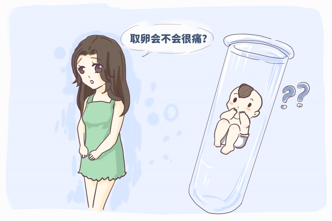 美国试管婴儿流程：从咨询到验孕的全周期解析