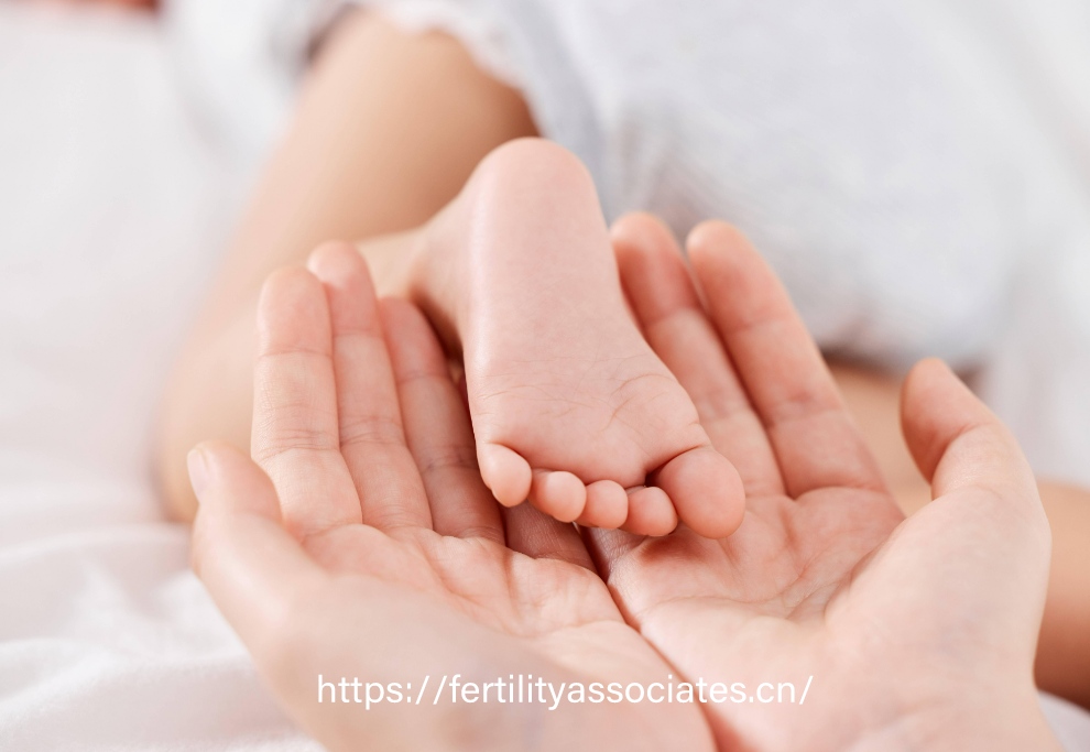 试管婴儿成功率密码：年龄、卵巢功能与技术方案的三角关系