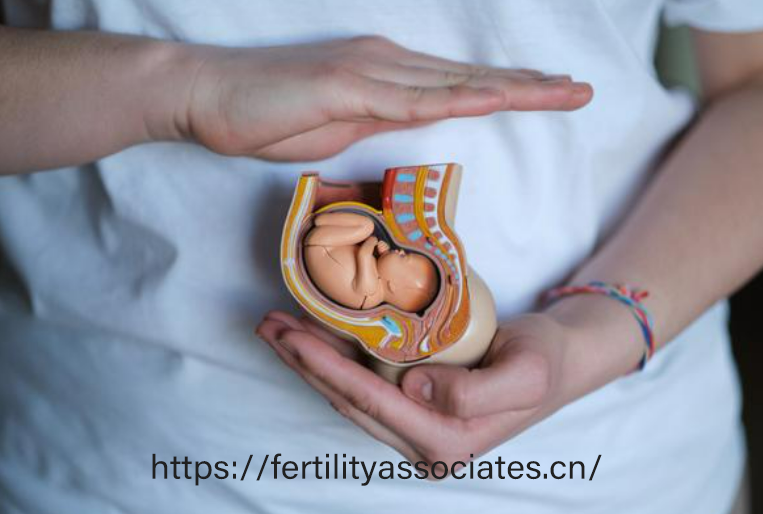 赴美生子风险预警：长途飞行、文化差异对母婴健康的影响