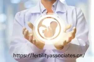 2026赴美试管婴儿生活成本揭秘：住