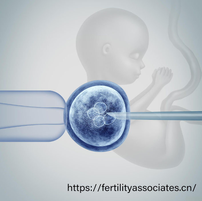 美国试管婴儿成功率对比国内：技术差异与选择建议