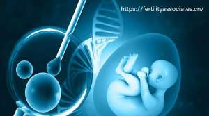 美国试管婴儿成功率影响因素全梳