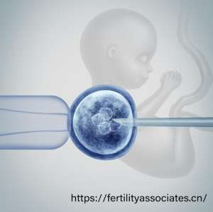 赴美生子签证与入境全流程：2026年