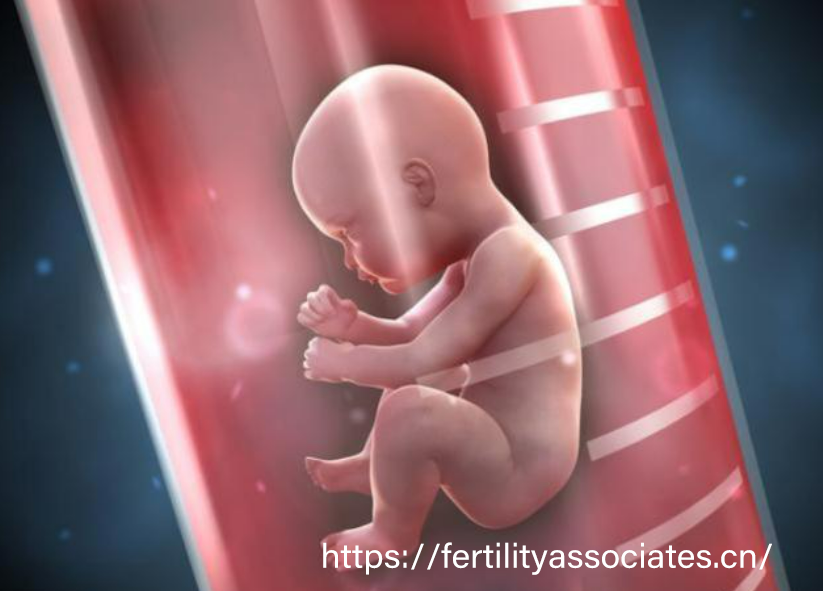 美国IVF成功率提升策略：年龄、技术选择与生活方式调整