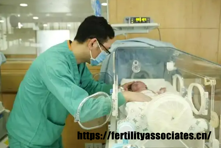 试管婴儿：科技助力下的生命诞生之旅