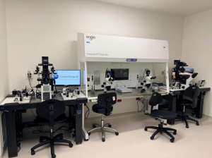 赴美生子费用与试管效果挂钩?深度